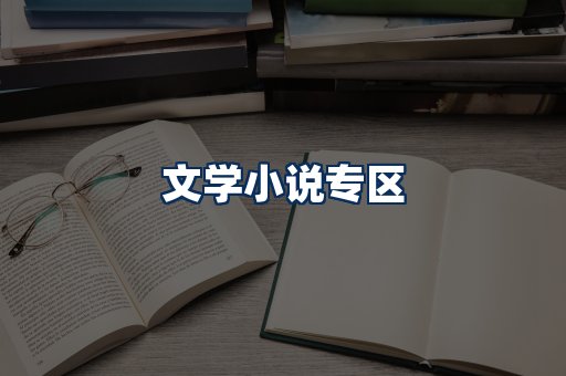 文学小说PDF展示